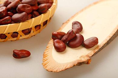 维京风恋爱视觉小说《心动末日》 现已在Steam平台发售